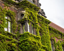 Muzeum Narodowe we Wrocławiu